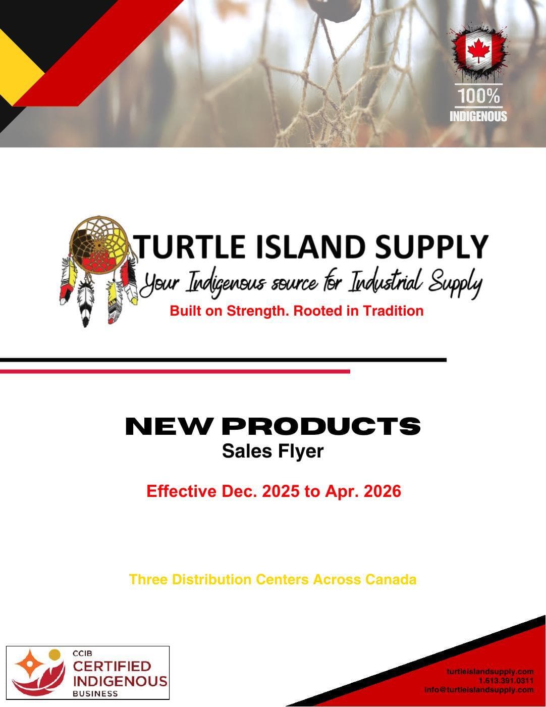 TIS Sales Flyer